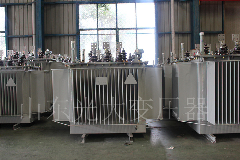 银川S20-500KVA/10KV